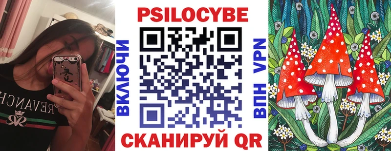 Галлюциногенные грибы Psilocybine cubensis Солнечногорск